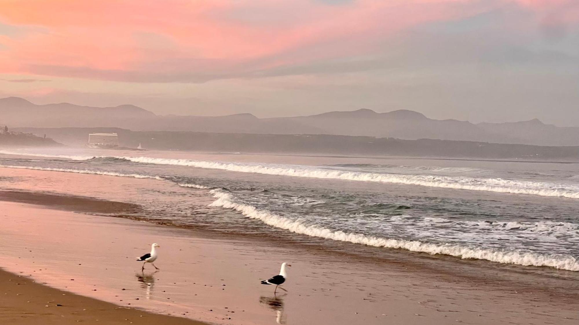 The Kingfisher Plettenberg Bay